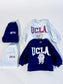 UCLA Bear Set